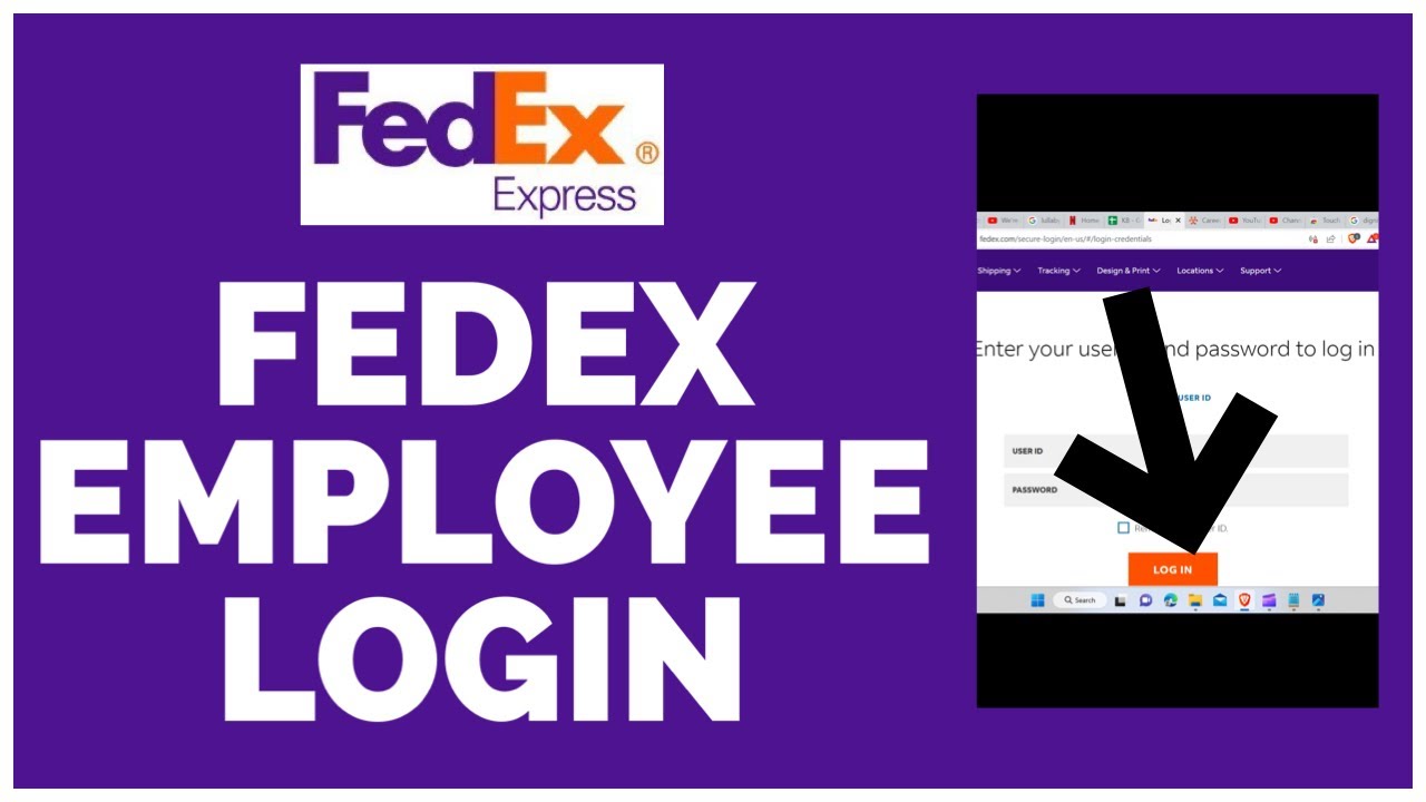 fedex paystubs