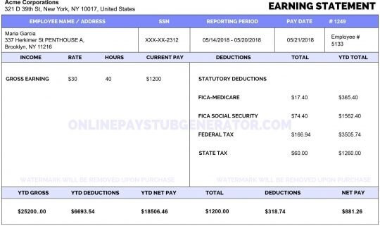 paystub generator with logo