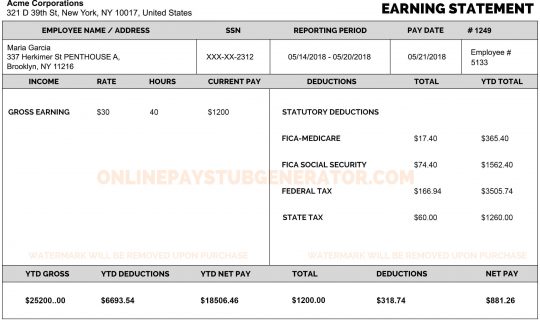 paystub generator