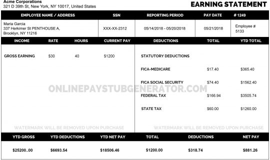 paystub template 1