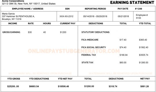 paystub template 2