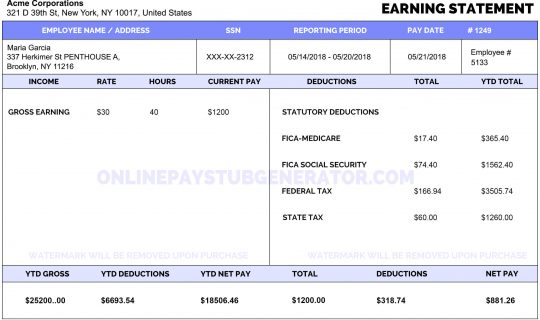 paycheck stub