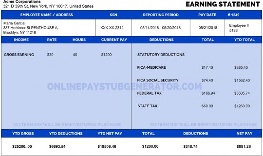 online paystub template 6